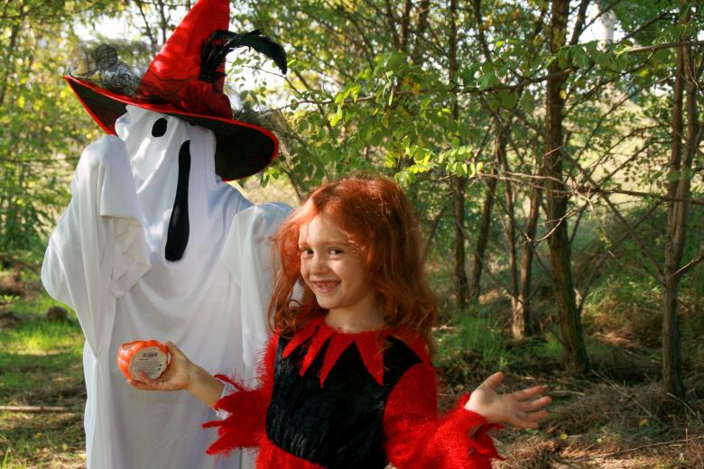 Free stock image of The Witch created by Pixabay