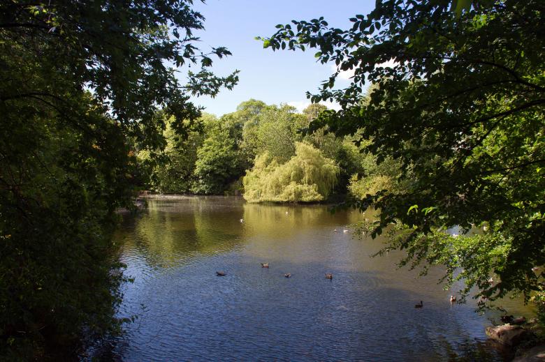 Free stock image of Saint Stephen's Green created by Geoffrey Whiteway