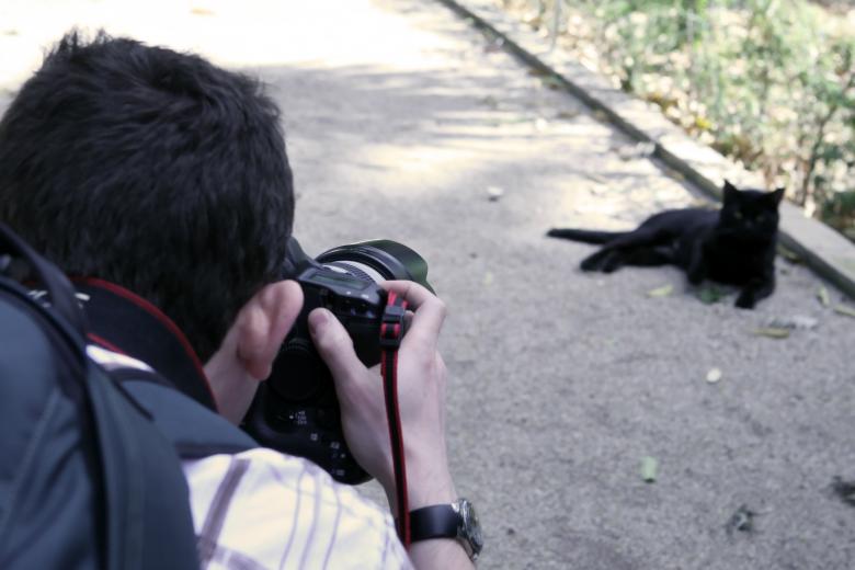 Free stock image of Black Cat created by Pixabay