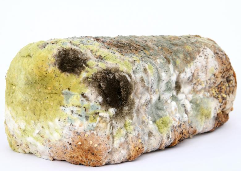 Free stock image of Bread created by Pixabay