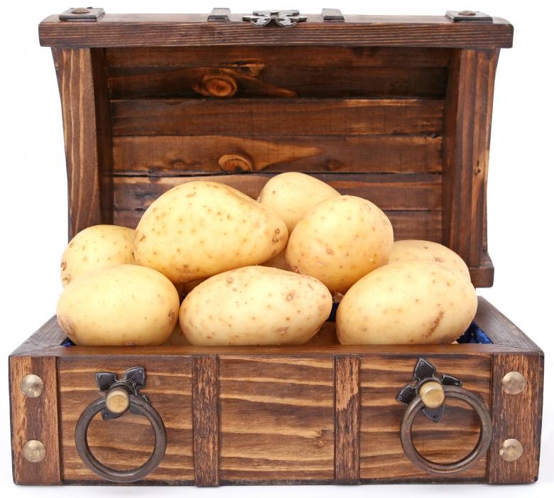 Free stock image of Potato created by Pixabay