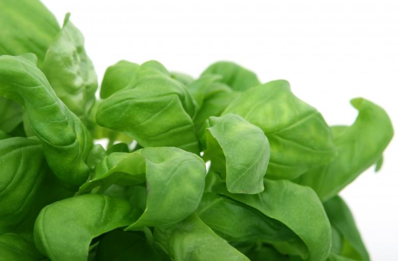 Free stock image of Salad created by Pixabay