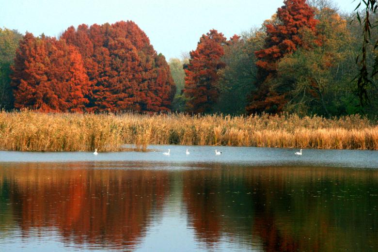 Free stock image of Autumn created by Pixabay