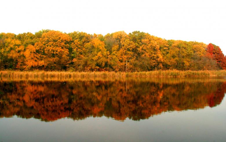 Free stock image of Mirror created by Pixabay