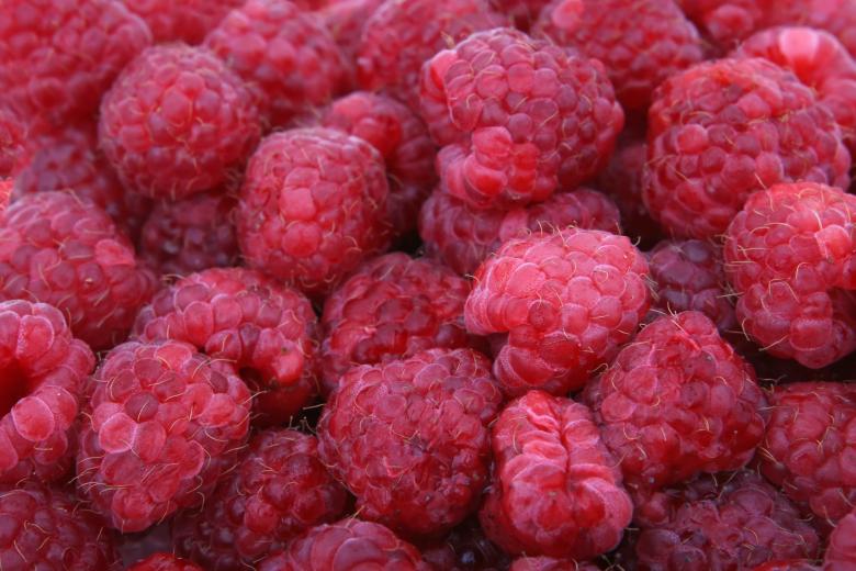 Free stock image of Red Berries created by Pixabay