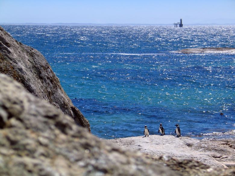 Free stock image of Rocky Shore created by Pixabay