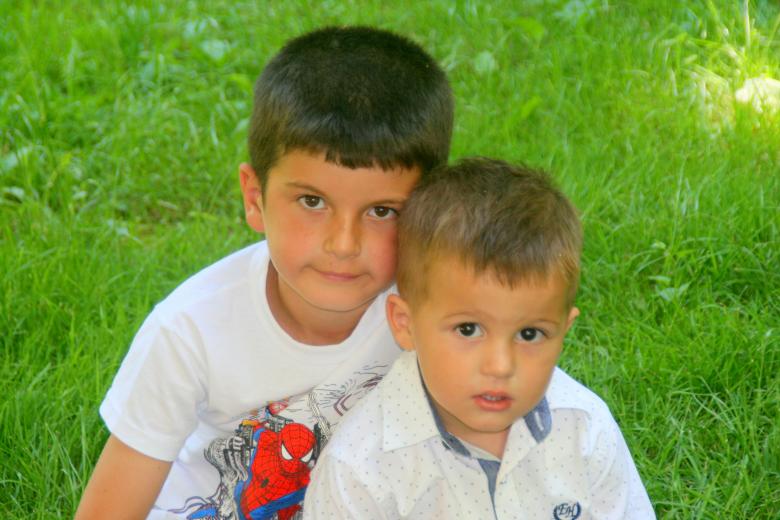 Free stock image of Brothers created by Pixabay