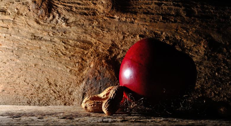 Free stock image of Apple n Peanuts created by Pixabay