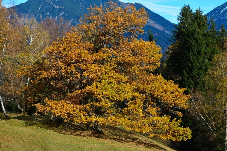 Free stock image of Beautiful View created by Pixabay