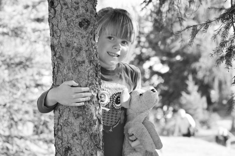 Free stock image of Grey created by Pixabay