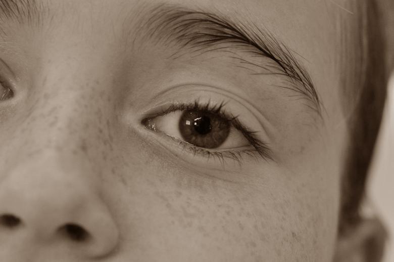 Free stock image of Closeup created by Pixabay