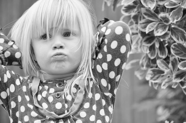 Free stock image of Grey created by Pixabay