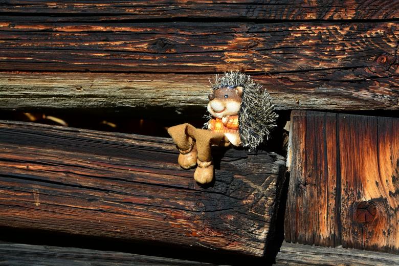 Free stock image of Hedgehog created by Pixabay