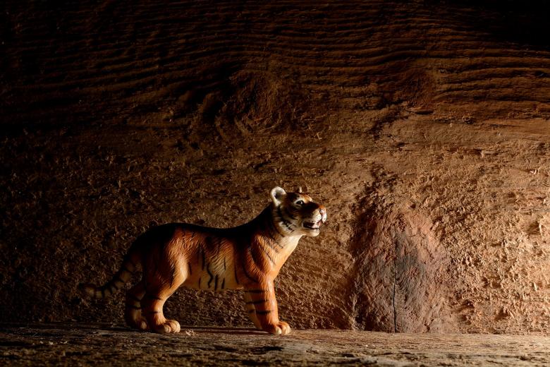 Free stock image of Tiger created by Pixabay