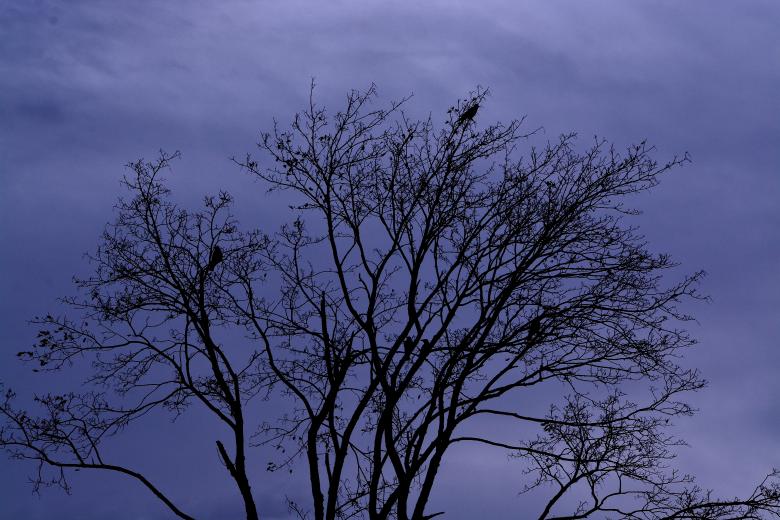 Free stock image of Dark created by Pixabay