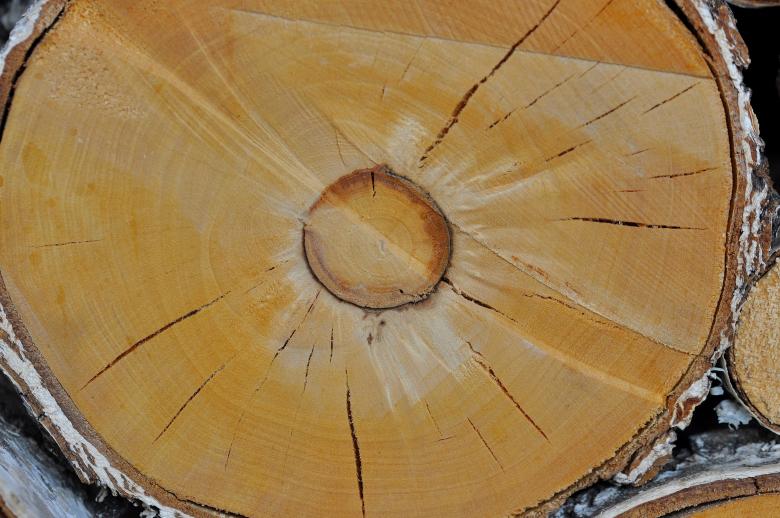 Free stock image of Wood Log created by Pixabay