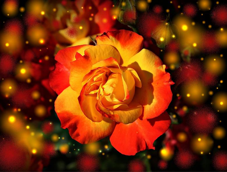 Free stock image of Flower created by Pixabay