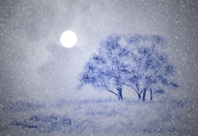 Free stock image of Winter created by Pixabay