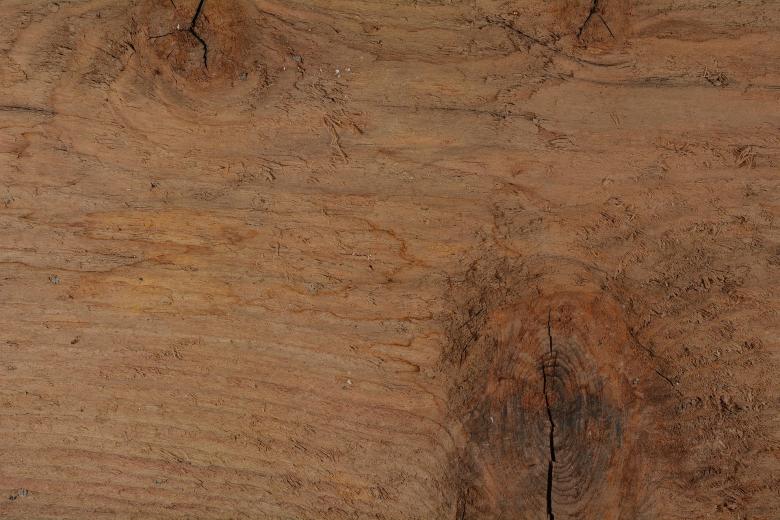 Free stock image of Brown created by Pixabay