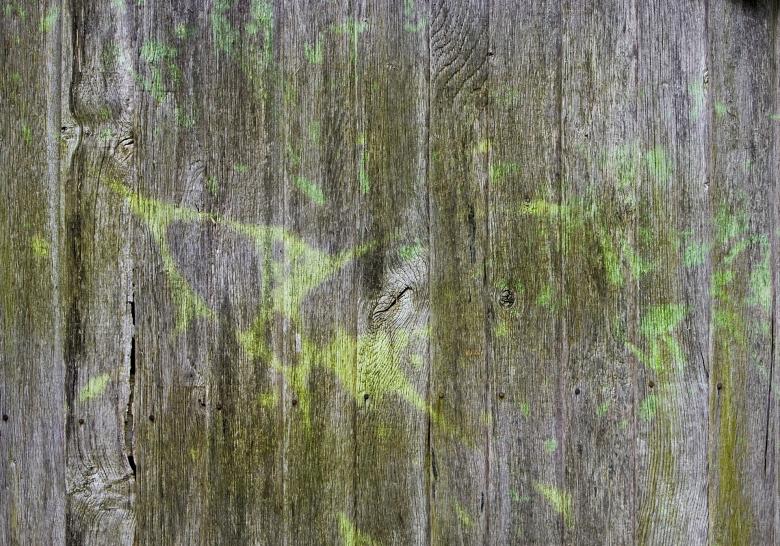 Free stock image of Texture created by Pixabay