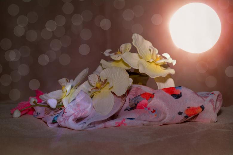 Free stock image of Flower created by Pixabay