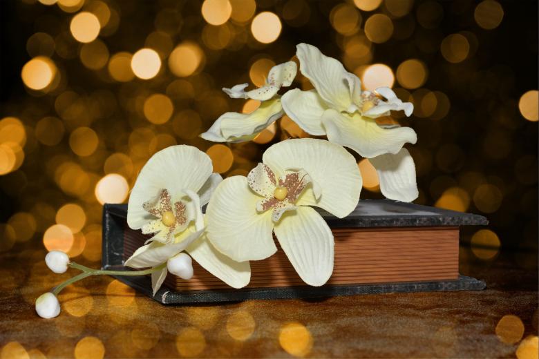 Free stock image of Flower created by Pixabay