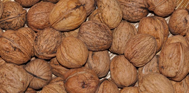 Free stock image of Walnuts created by Pixabay