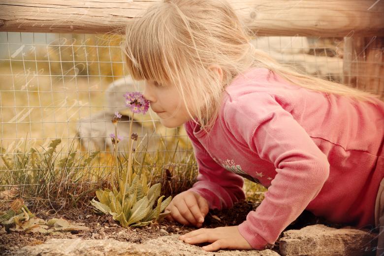 Free stock image of Cute created by Pixabay