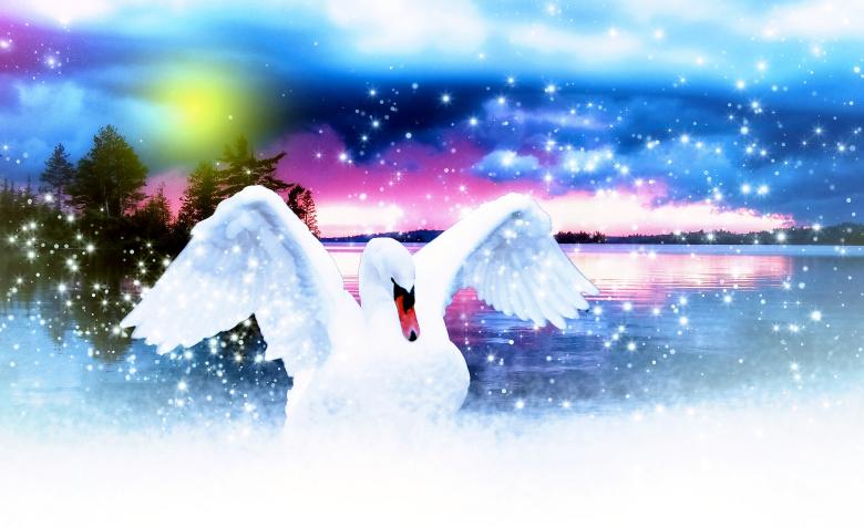 Free stock image of Swan created by Pixabay