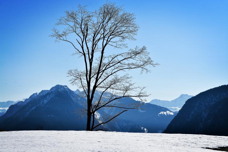 Free stock image of Frozen created by Pixabay