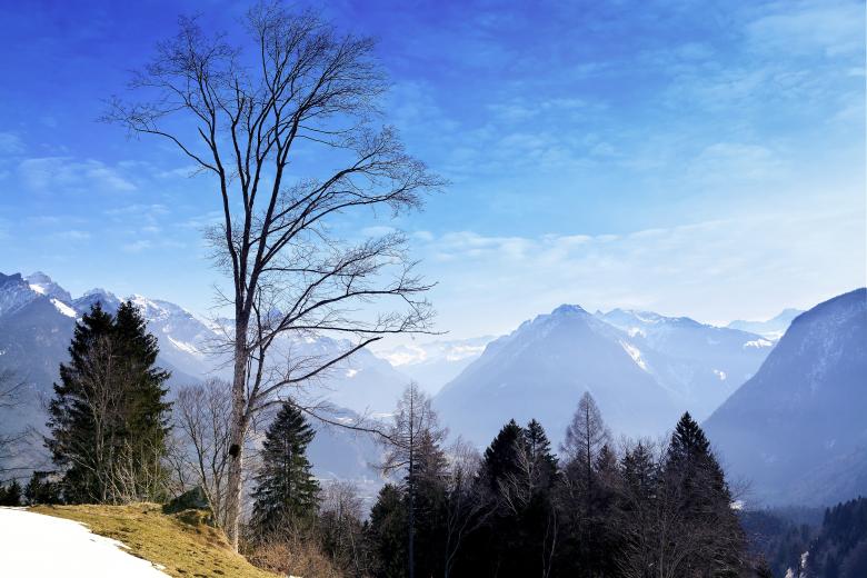 Free stock image of View created by Pixabay