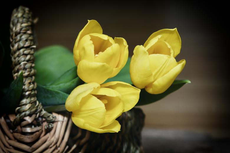 Free stock image of Yellow Flowers in Basket created by Pixabay