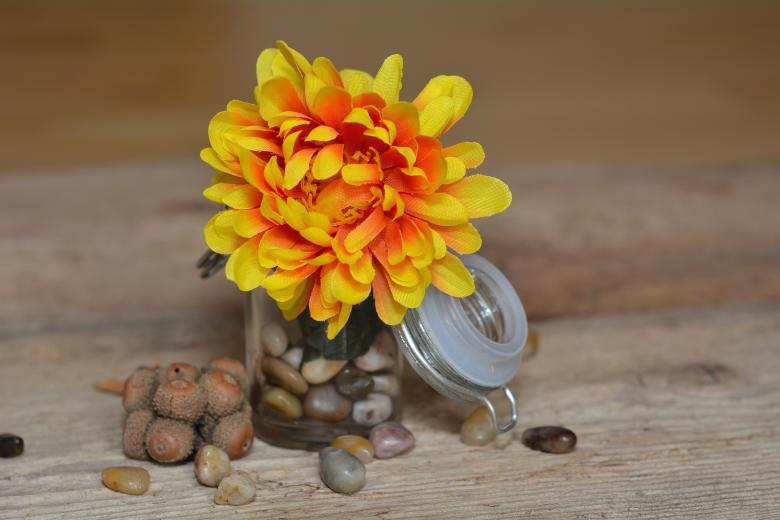 Free stock image of Flower created by Pixabay