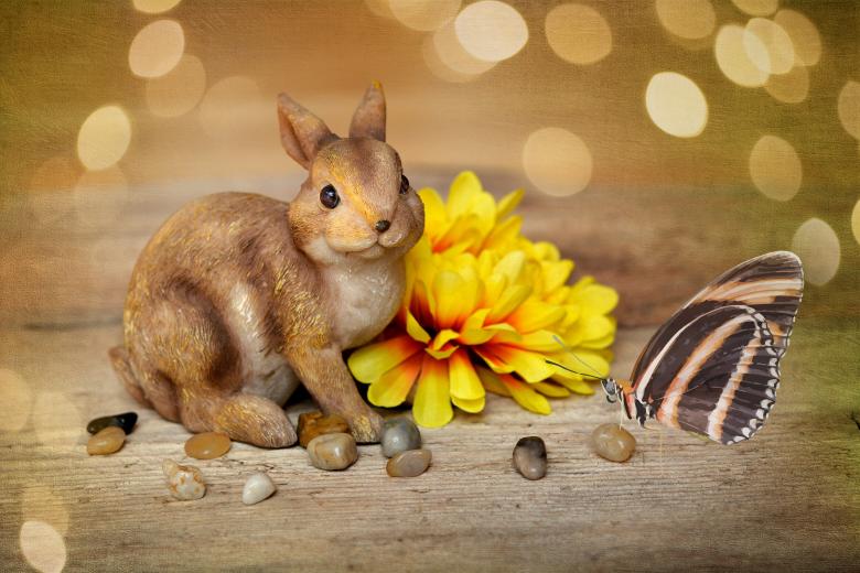 Free stock image of Animal created by Pixabay