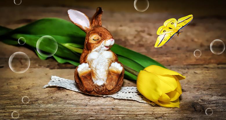 Free stock image of Hare created by Pixabay