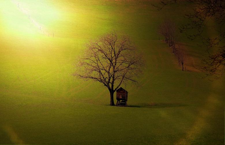 Free stock image of Field created by Pixabay