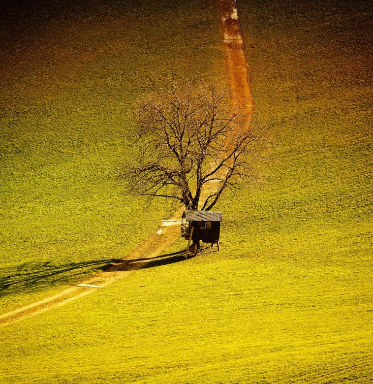 Free stock image of Field created by Pixabay