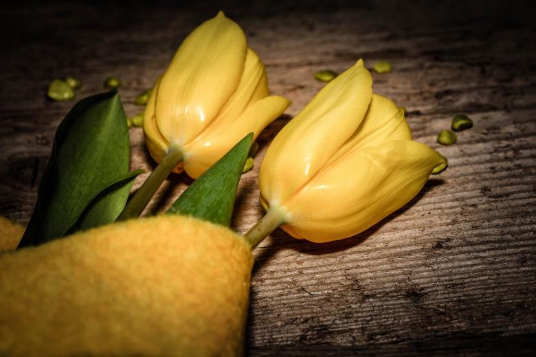 Free stock image of Yellow created by Pixabay