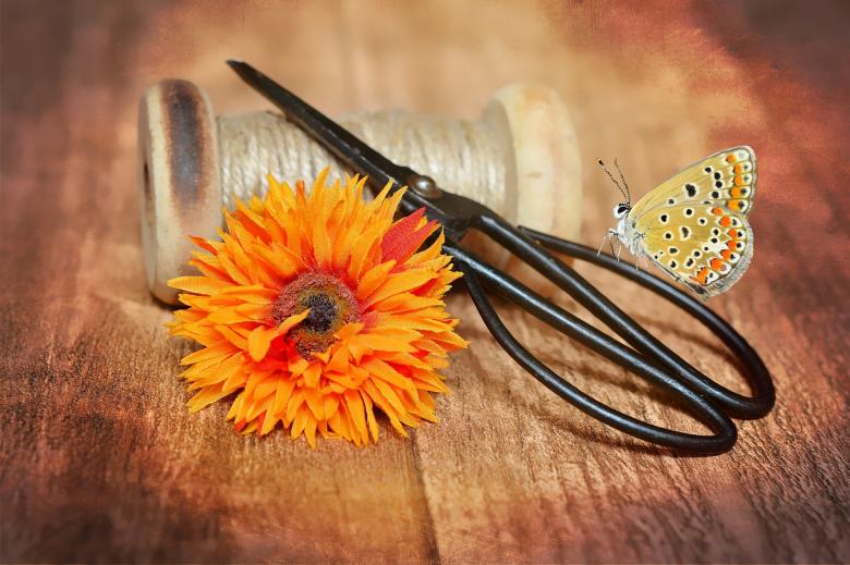 Free stock image of Flower created by Pixabay
