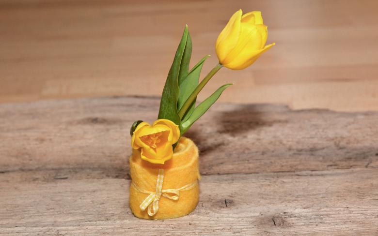 Free stock image of Tulip created by Pixabay