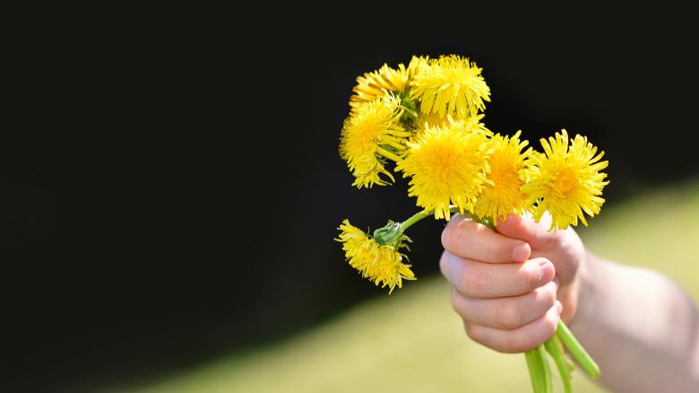 Free stock image of Nature created by Pixabay