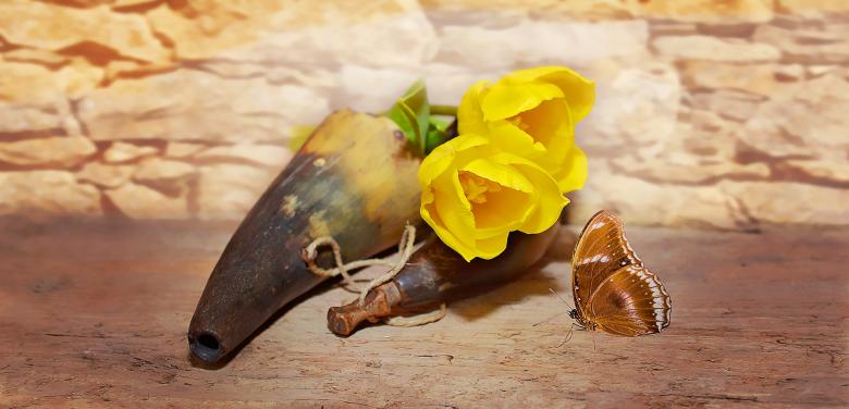Free stock image of Flower created by Pixabay