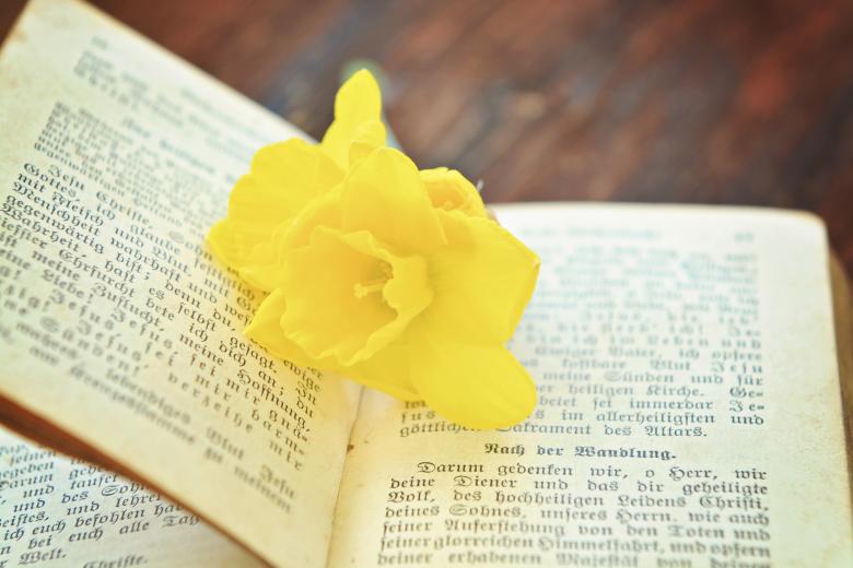 Free stock image of Flower in the Book created by Pixabay