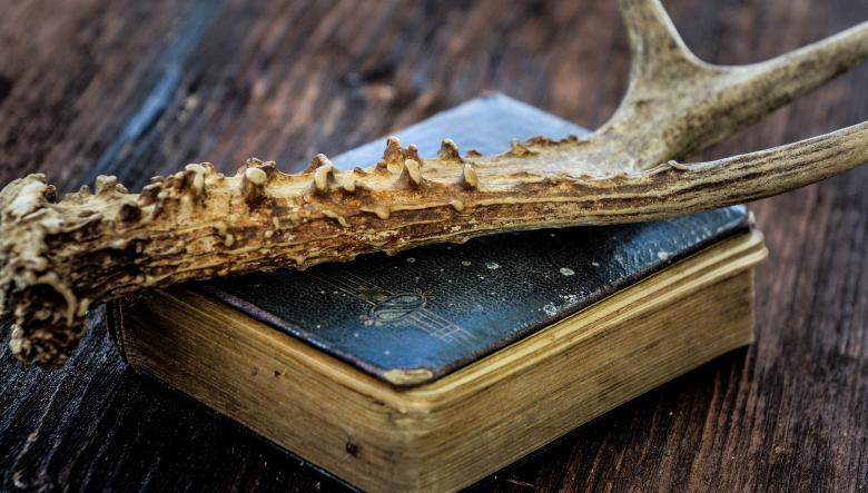 Free stock image of Old Book created by Pixabay