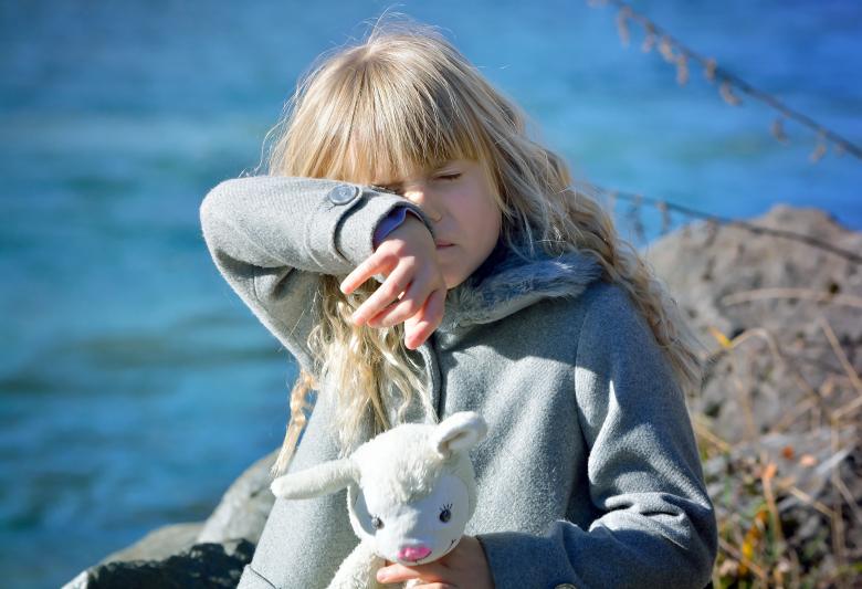 Free stock image of Princess created by Pixabay