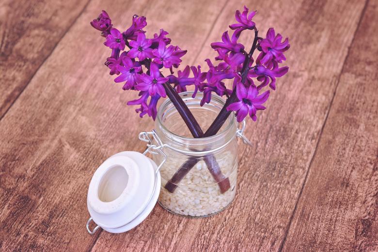 Free stock image of Fresh created by Pixabay