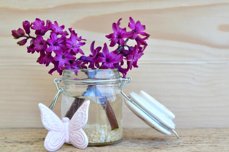 Free stock image of Flower Jar created by Pixabay