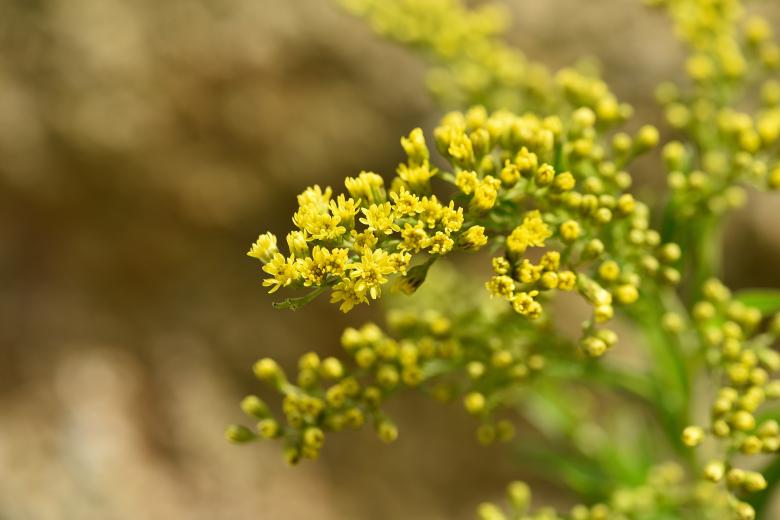 Free stock image of Nature created by Pixabay