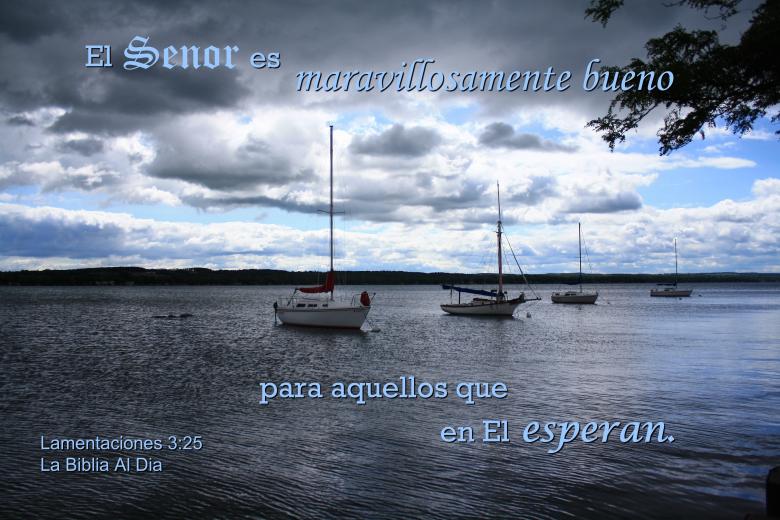 Free stock image of En El Esperan created by DFNatureAwed