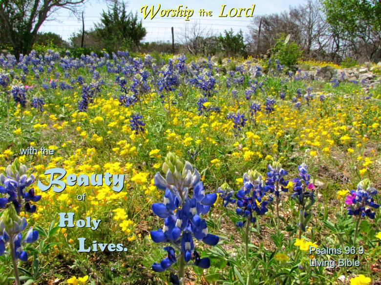 Free stock image of Worship with Holy Lives created by DFNatureAwed